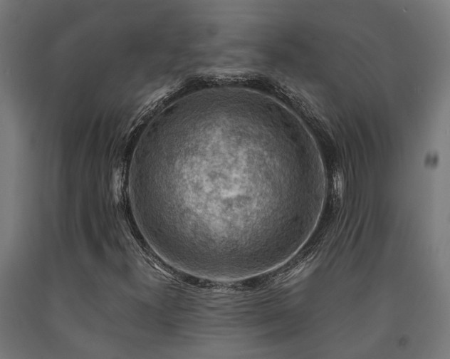 X0000093151300200709261437