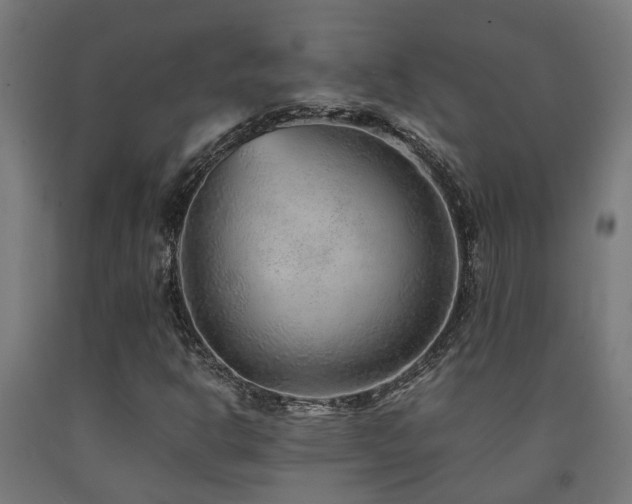 X0000093151302200709261437