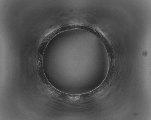 X0000093151303200709261437