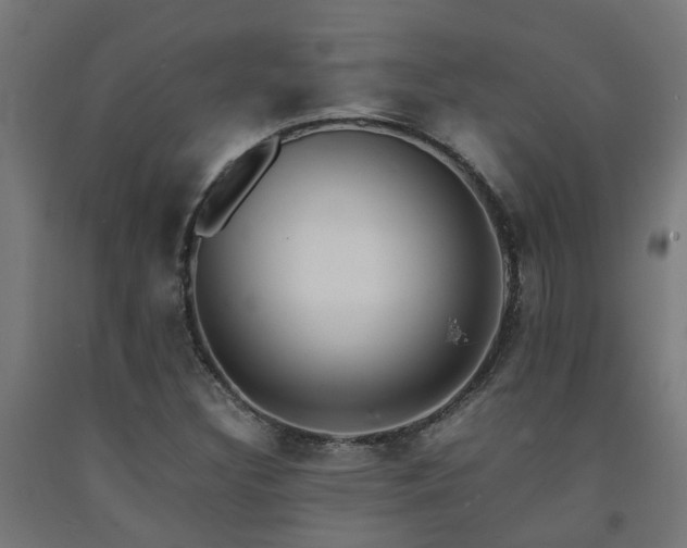 X0000093151308200709261437