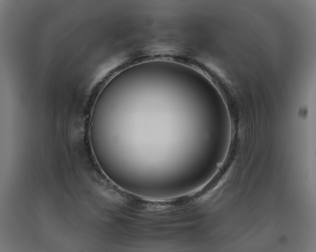 X0000093151309200709261437