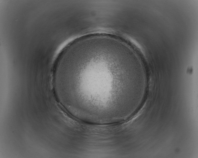 X0000093151310200709261437