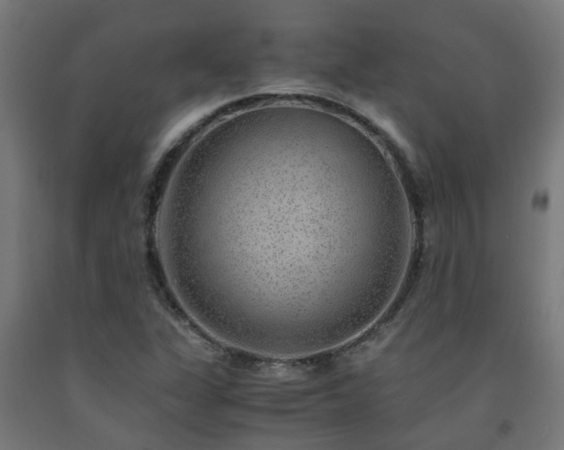 X0000093151311200709261437