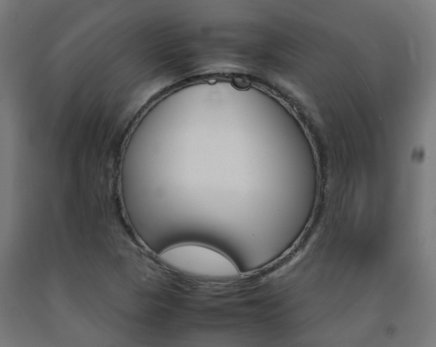 X0000093151313200709261437