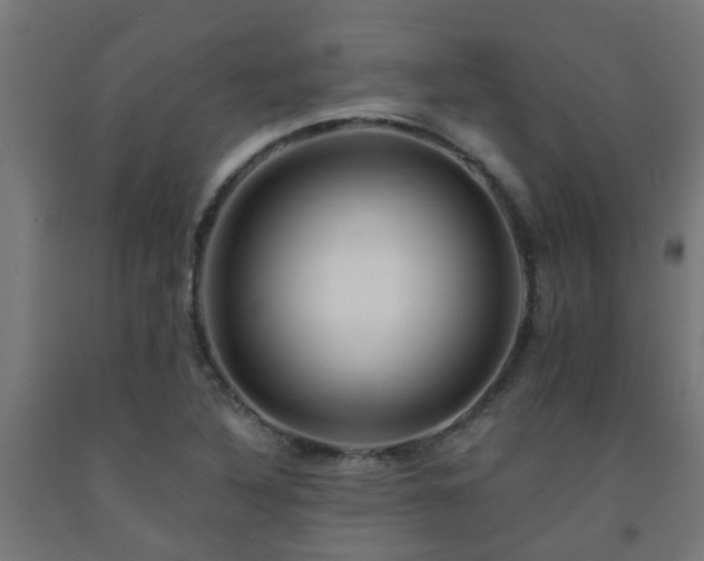 X0000093151316200709261437