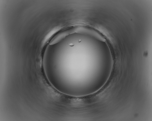 X0000093151317200709261437