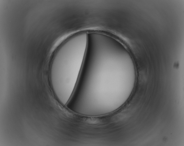 X0000093151319200709261437