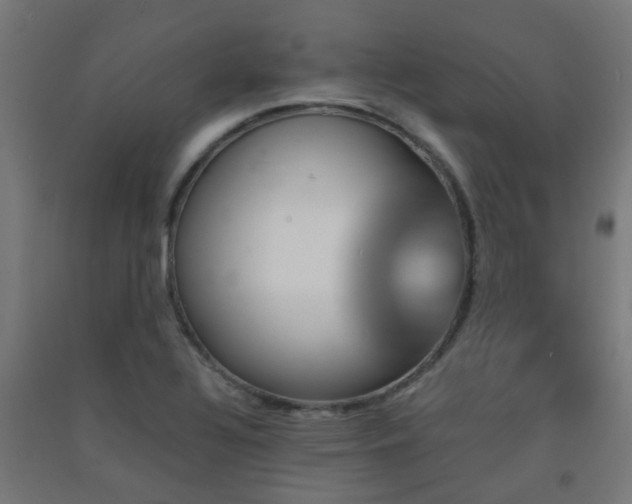 X0000093151320200709261437
