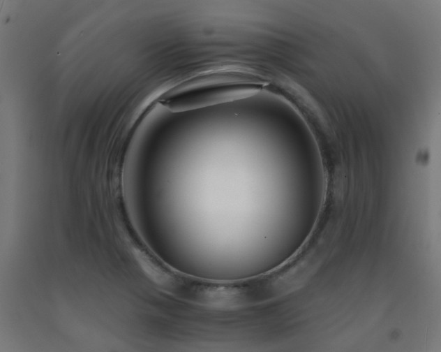 X0000093151321200709261437