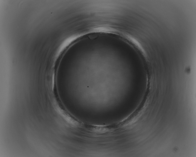 X0000093151323200709261437