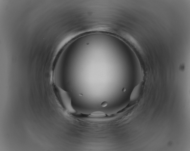 X0000093151324200709261437