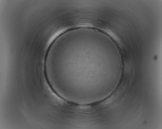 X0000093151325200709261437