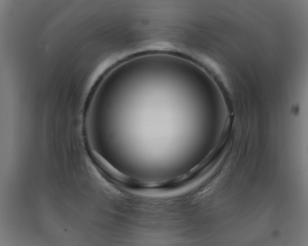 X0000093151326200709261437