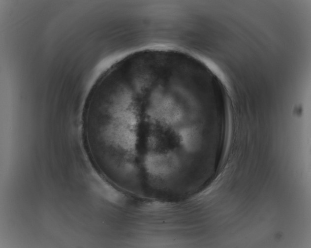 X0000093151327200709261437