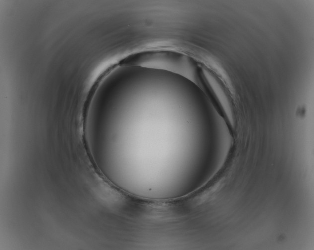X0000093151328200709261437