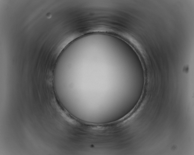 X0000093151329200709261437