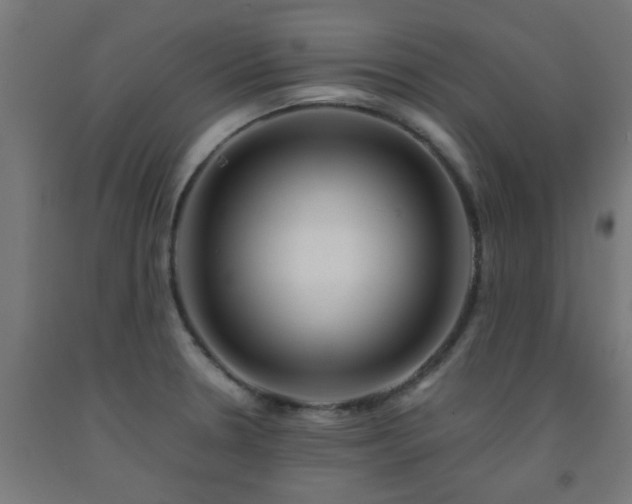 X0000093151330200709261437