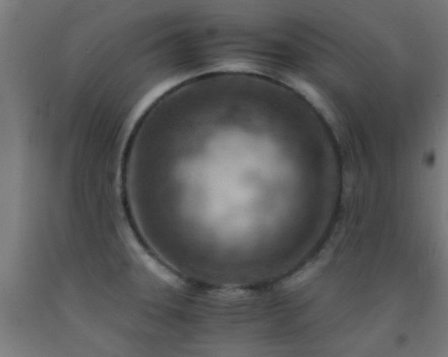 X0000093151331200709261437