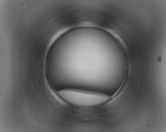 X0000093151333200709261437
