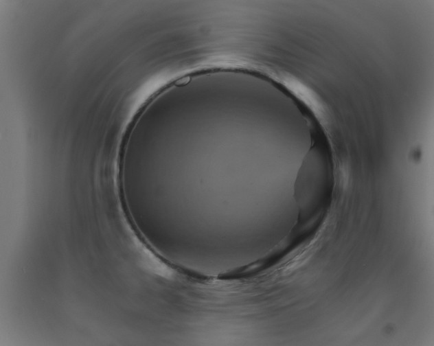 X0000093151334200709261437