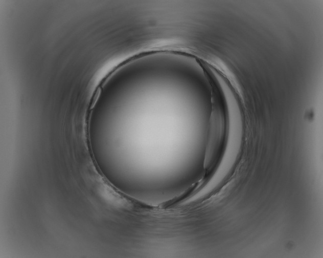 X0000093151336200709261437