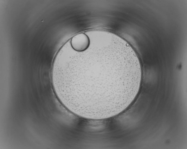 X0000093151338200709261437