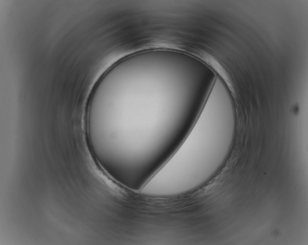 X0000093151339200709261437