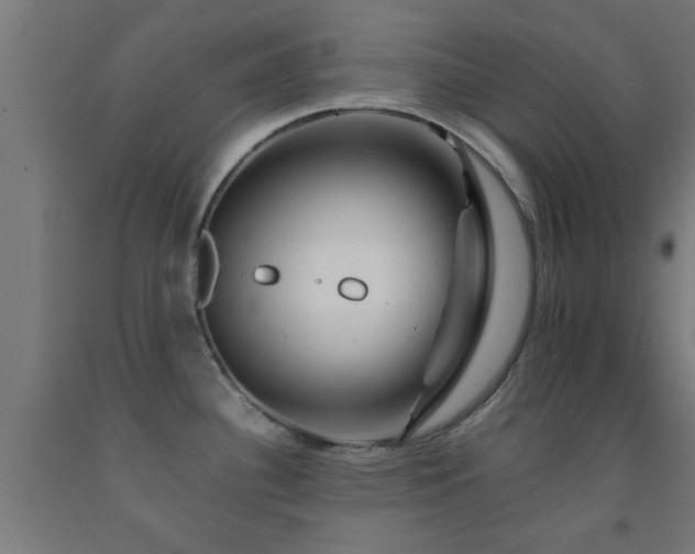 X0000093151340200709261437