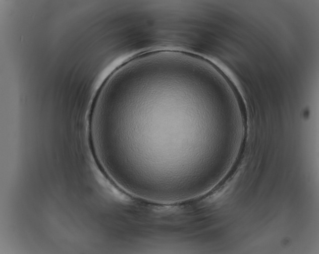 X0000093151341200709261437