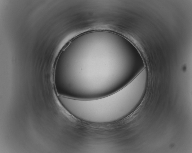 X0000093151342200709261437