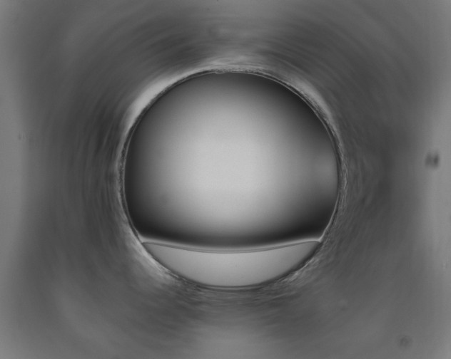 X0000093151344200709261437