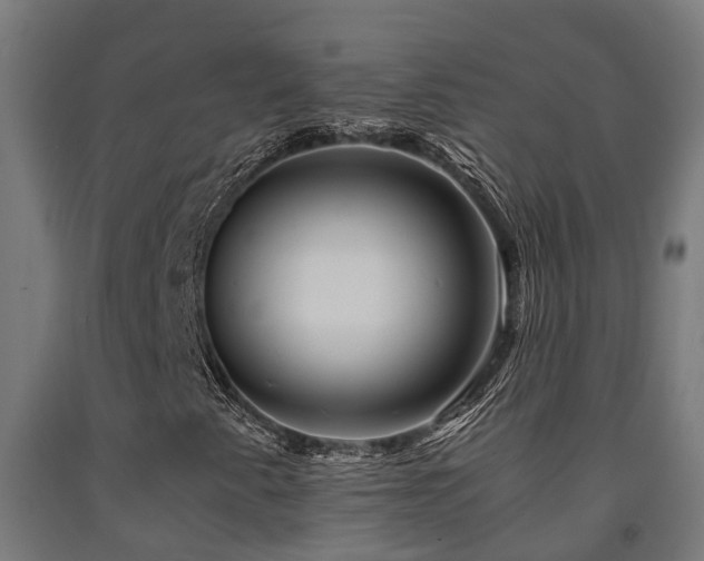 X0000093151345200709261437