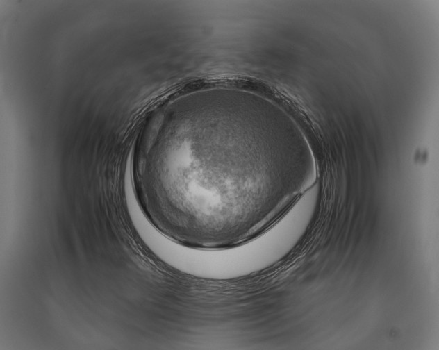 X0000093151348200709261436