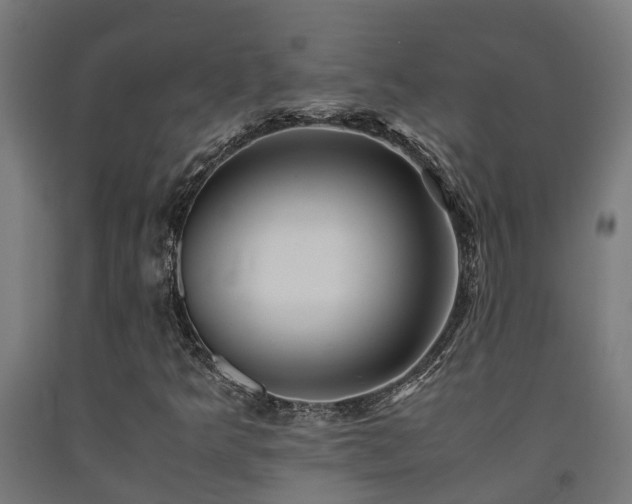 X0000093151349200709261436