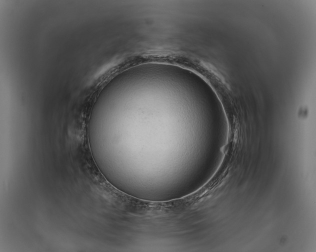 X0000093151350200709261436