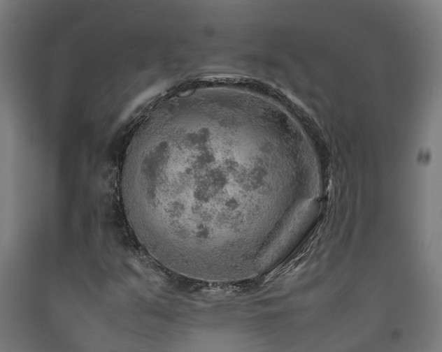 X0000093151351200709261436