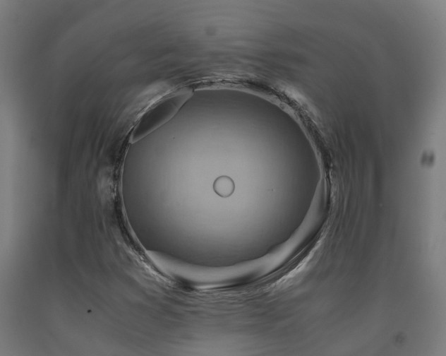 X0000093151353200709261436