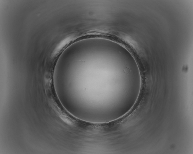 X0000093151355200709261436