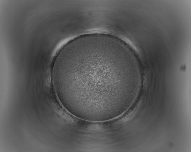 X0000093151358200709261436