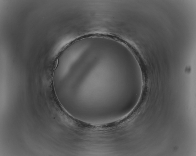 X0000093151359200709261436