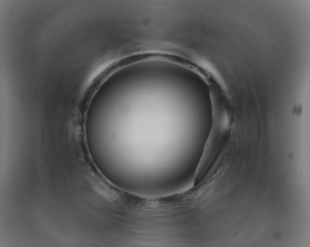 X0000093151360200709261436