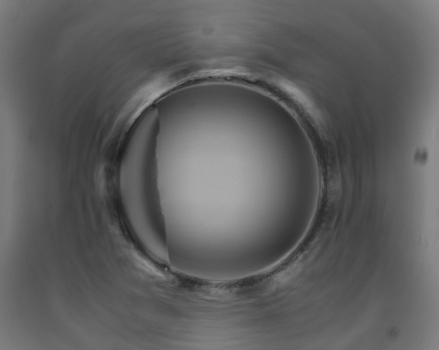 X0000093151361200709261436