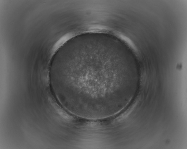 X0000093151362200709261436