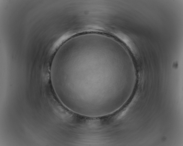 X0000093151363200709261436
