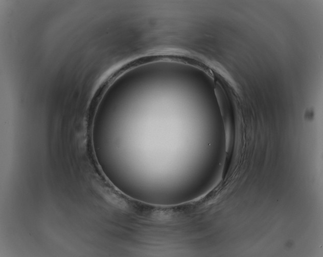 X0000093151364200709261436