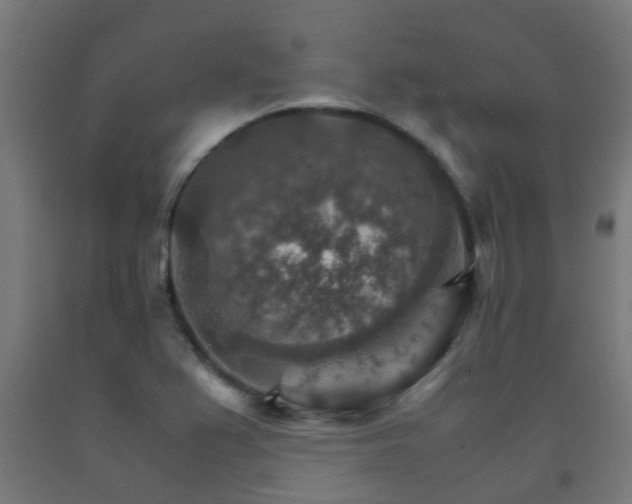 X0000093151367200709261436