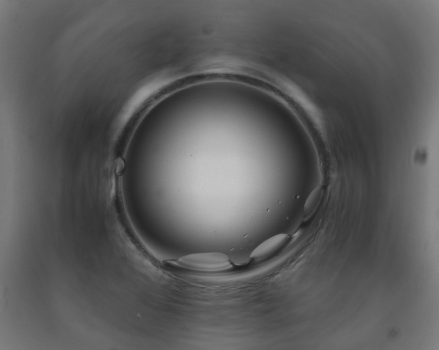 X0000093151368200709261436