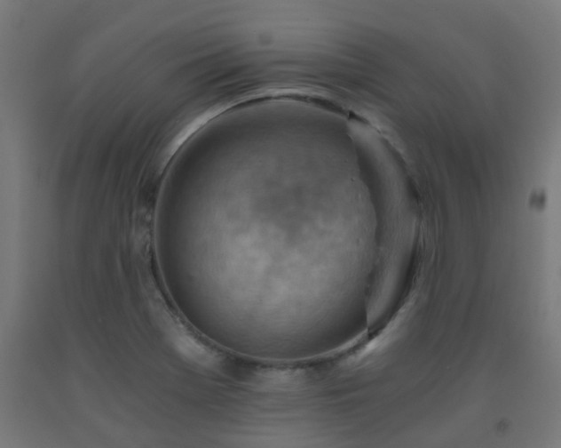 X0000093151369200709261436