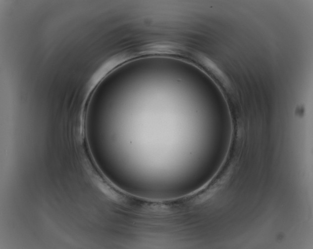 X0000093151370200709261436