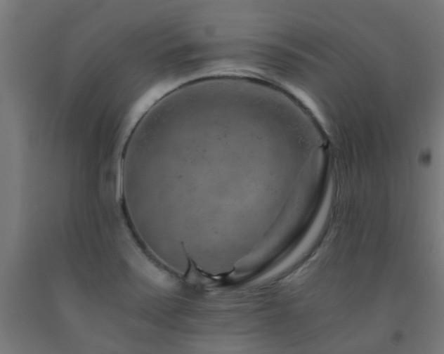X0000093151371200709261436